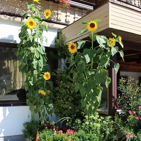 Liebetegger Gasthof 3*