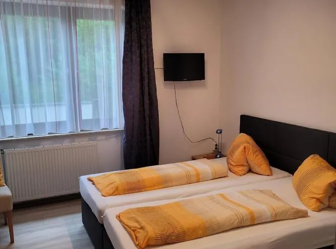 Pensjonat Liebetegger 3*