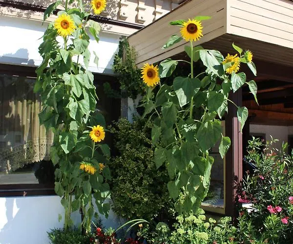 Liebetegger בית הארחה 3*